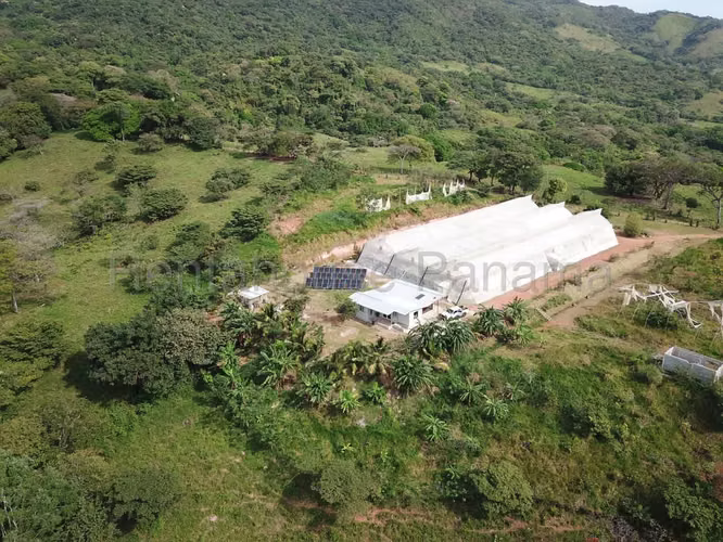 VENTA DE FINCA EN CHAME