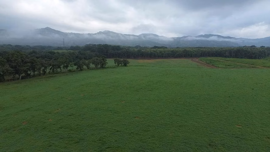 SE VENDE TERRENO DE 64 HÉCTAREAS EN CHEPO $4xmt2