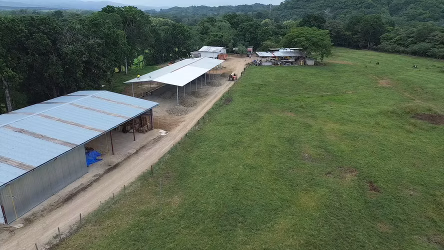 SE VENDE TERRENO DE 64 HÉCTAREAS EN CHEPO $4xmt2