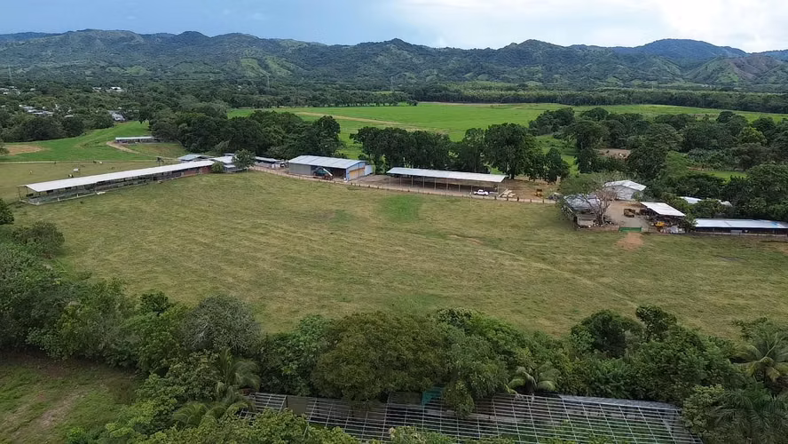 SE VENDE TERRENO DE 64 HÉCTAREAS EN CHEPO $4xmt2