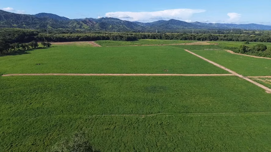SE VENDE TERRENO DE 64 HÉCTAREAS EN CHEPO $4xmt2