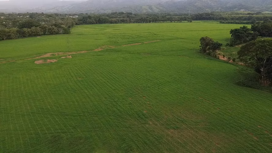 SE VENDE TERRENO DE 64 HÉCTAREAS EN CHEPO $4xmt2