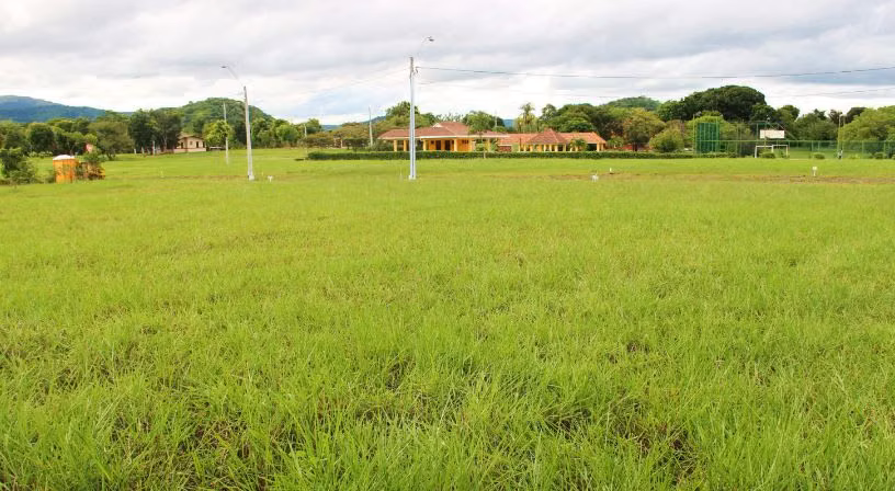 SE VENDEN LOTE EN CHAME , EN PH LA COLONIA
