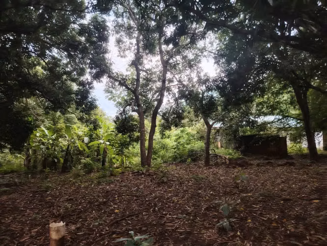 Terreno en Venta en Pesé - Vía Principal - Imagen 10