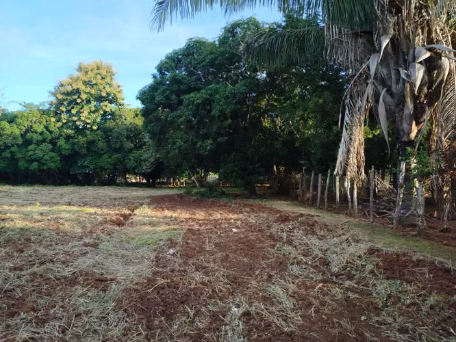 Terreno en Venta en Pesé - Vía Principal - Imagen 2