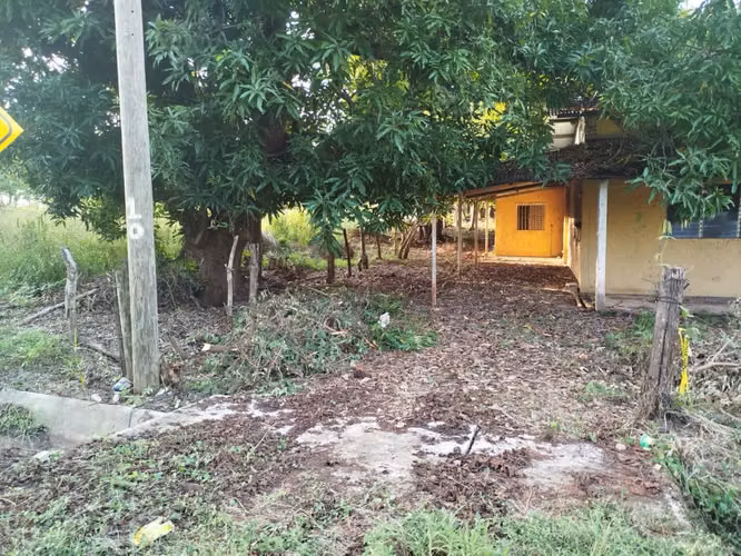 Terreno en Venta en Pesé - Vía Principal - Imagen 5