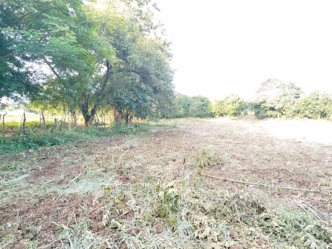 Terreno en Venta en Pesé - Vía Principal - Imagen 3