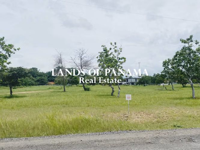 SE VENDE TERRENO EN PALMERAS DEL GOLF - CORONADO