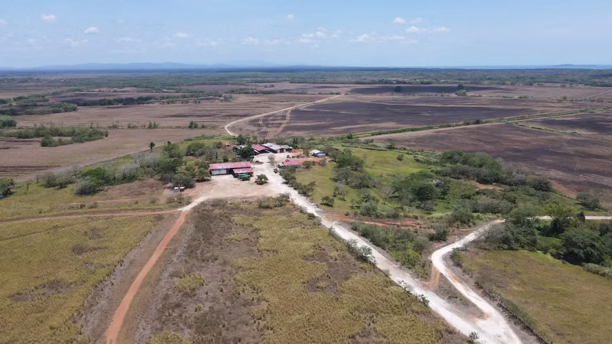 TERRENO EN PACORA, CON CULTIVOS DE ARROZ - Imagen 2