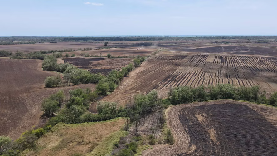 TERRENO EN PACORA, CON CULTIVOS DE ARROZ - Imagen 3
