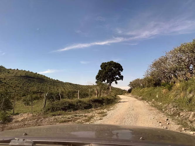 Se Vende Finca de 220 Hectáreas en Volcán, Chiriquí