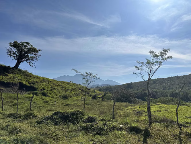 Se Vende Finca de 220 Hectáreas en Volcán, Chiriquí