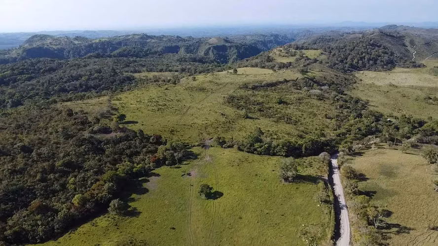 Se Vende Finca de 220 Hectáreas en Volcán, Chiriquí