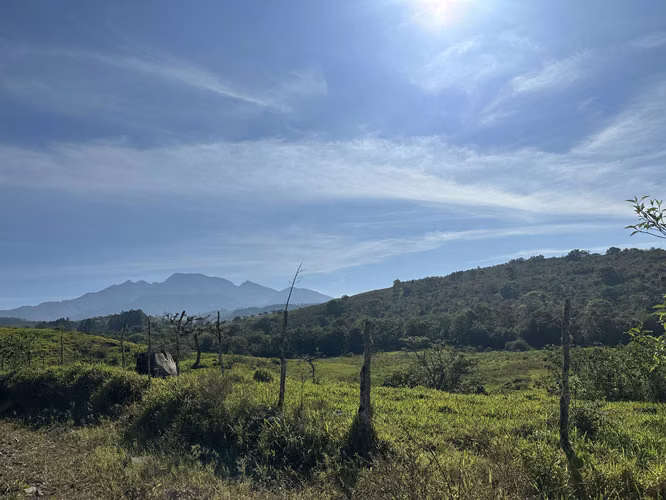 Se Vende Finca de 220 Hectáreas en Volcán, Chiriquí