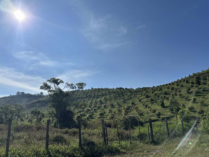Se Vende Finca de 220 Hectáreas en Volcán, Chiriquí