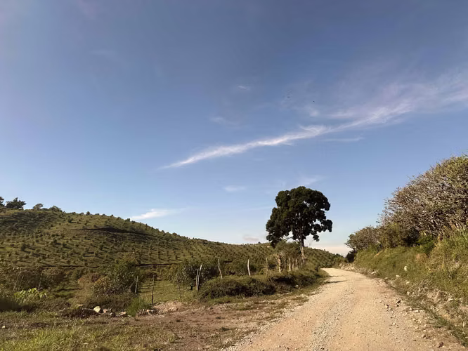 Se Vende Finca de 220 Hectáreas en Volcán, Chiriquí