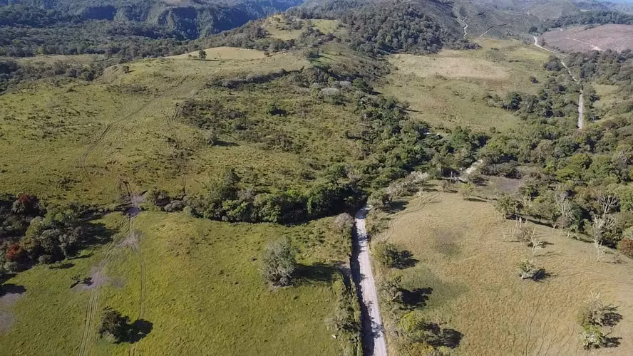 Se Vende Finca de 220 Hectáreas en Volcán, Chiriquí