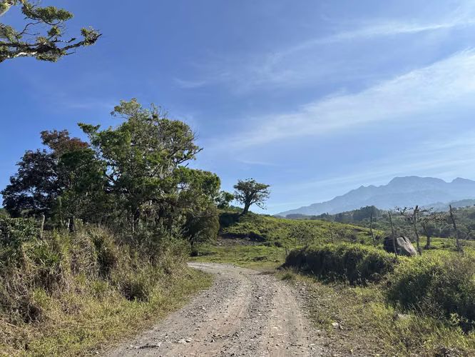 Se Vende Finca de 220 Hectáreas en Volcán, Chiriquí