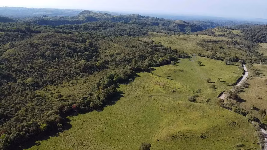 Se Vende Finca de 220 Hectáreas en Volcán, Chiriquí