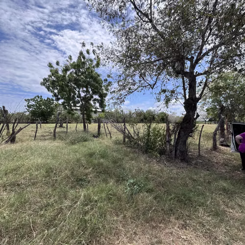 Venta de Terreno, Carretera Nacional Chitré a Las Tablas