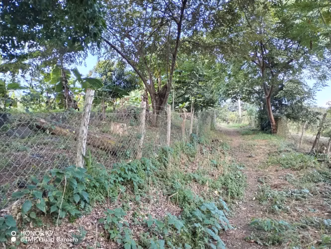 Terreno en Venta Las Tablas, Vía Las Palmitas, Los Santos
