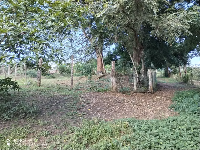 Terreno en Venta Las Tablas, Vía Las Palmitas, Los Santos