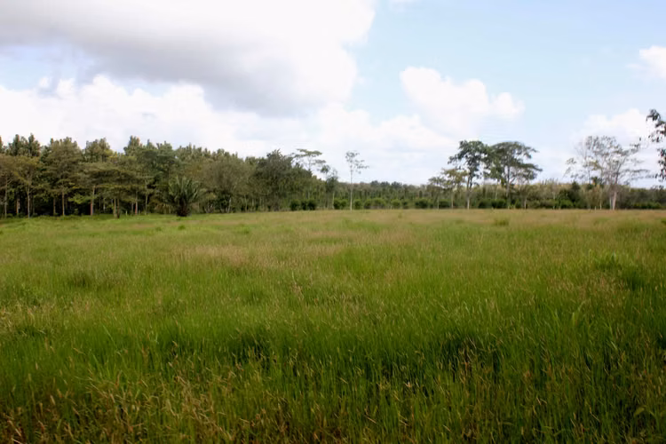 FINCA AGROCOMERCIO EN VENTA DARIÉN