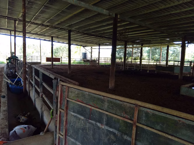 FINCA AGROCOMERCIO EN VENTA DARIÉN