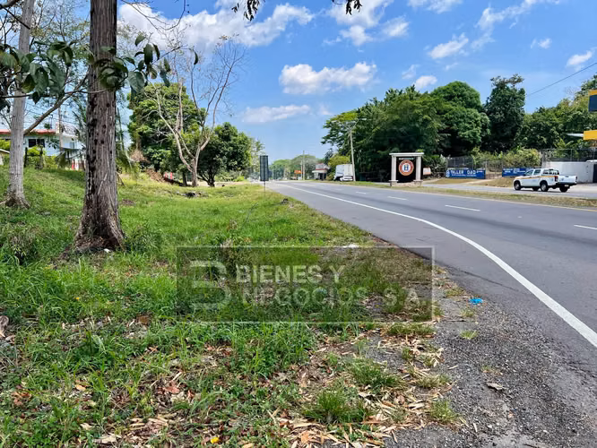 Terreno en Chiriqui, La Concepción, 9,997,24 mts2