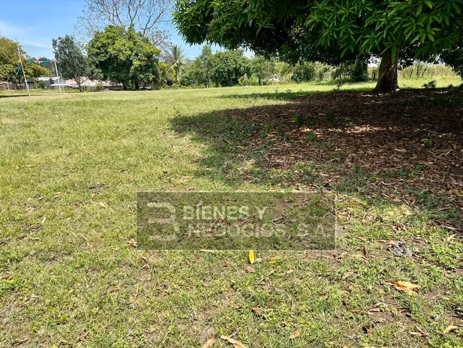 Terreno en Chiriqui, La Concepción, 9,997,24 mts2