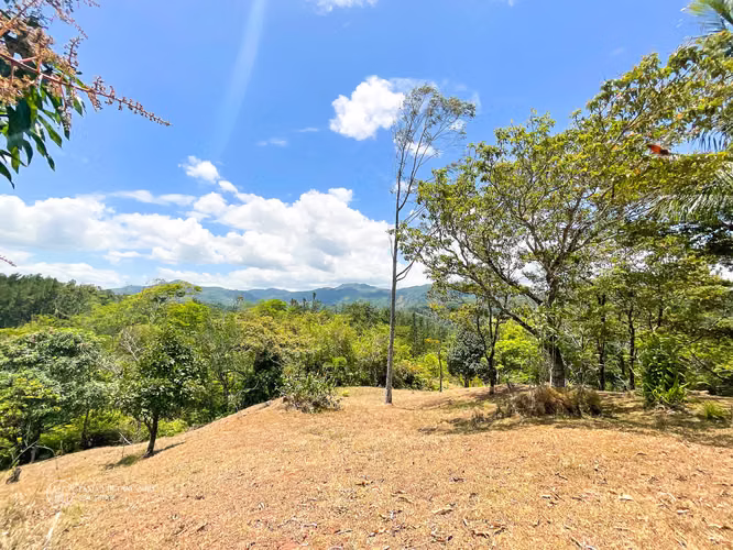 Belleza de Finca a La Venta en Chiguiri Arriba, Penonomé