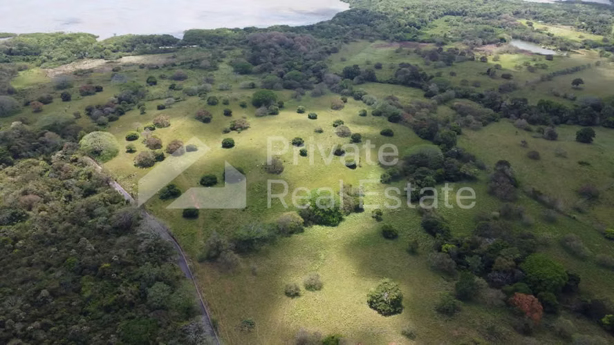 Venta de Terreno en La Chorrera