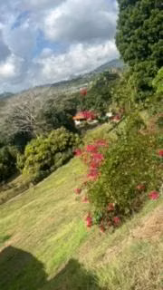 TERRENO EN VENTA EN LAS CUMBRES