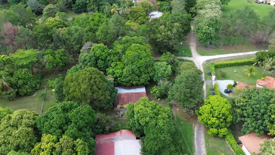 Amplia Casa de Campo En Santa Clara – Lote de 2,098 m² con Árboles Frutales a minutos de la Playa