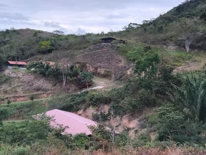 Se vende finca con 2 casas, 3 galeras para pollos, frutas y limones