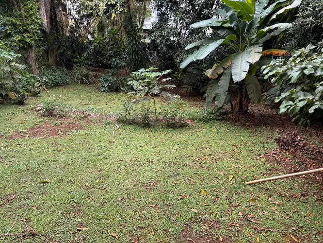 Se vende Terreno con edificio de 3 niveles en LA CRESTA OV