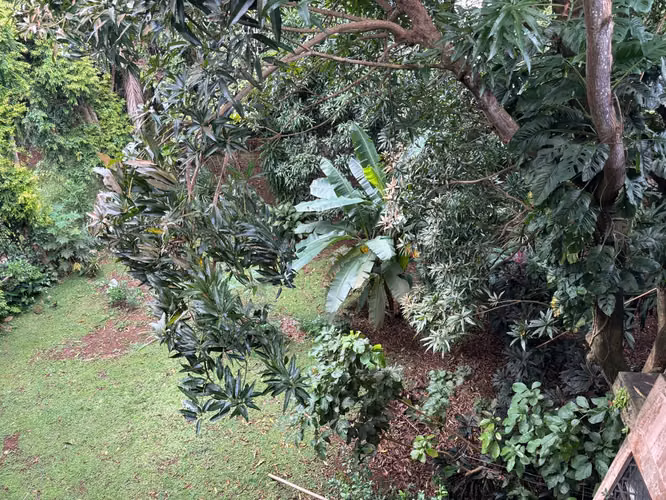 Se vende Terreno con edificio de 3 niveles en LA CRESTA OV