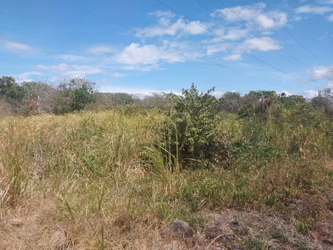 Se vende terreno frente a la via El Copé, Penonomé Coclé 2.1 HAS - Imagen 4