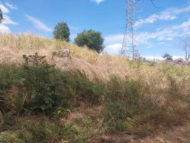 Se vende terreno frente a la via El Copé, Penonomé Coclé 2.1 HAS - Imagen 5