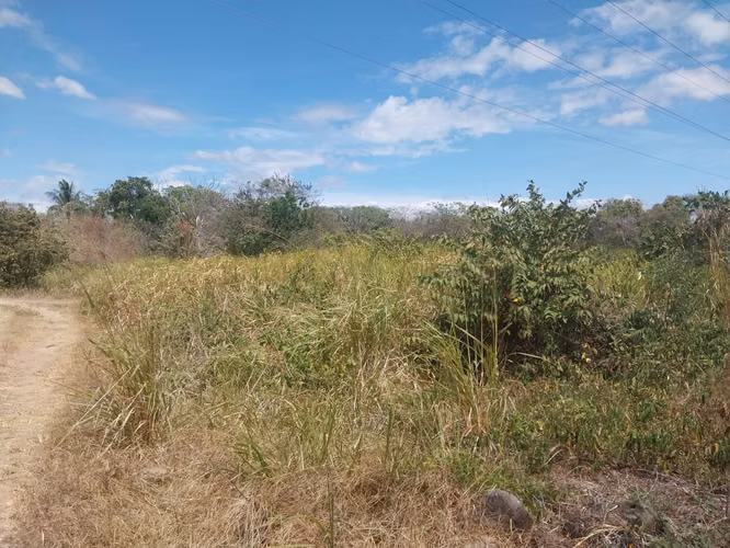 Se vende terreno frente a la via El Copé, Penonomé Coclé 2.1 HAS - Imagen 6