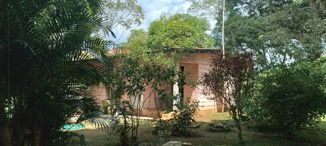 Finca 140 hectáreas en Santa Rita, La Chorrera. - Imagen 8