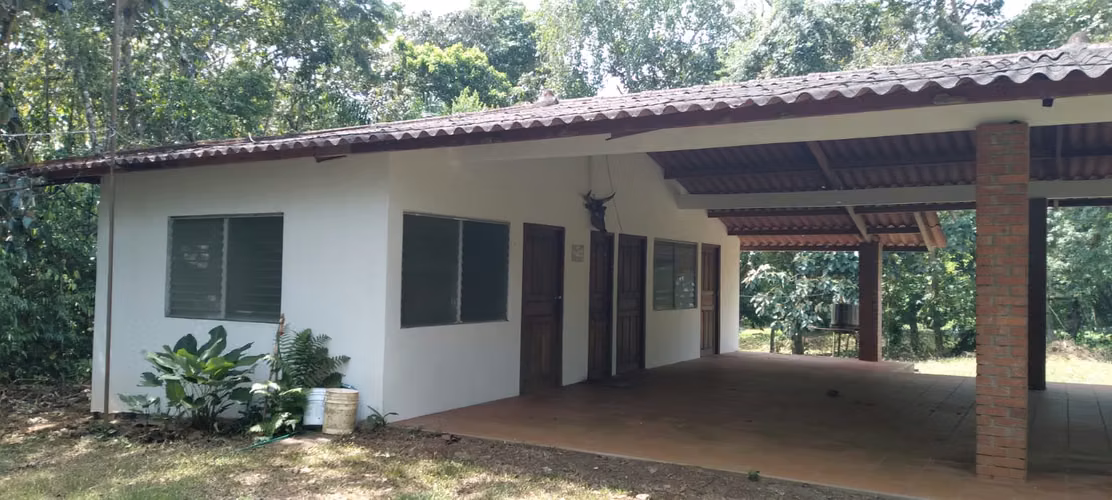 Finca 140 hectáreas en Santa Rita, La Chorrera. - Imagen 6