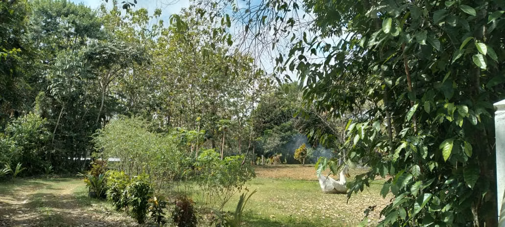 Finca 140 hectáreas en Santa Rita, La Chorrera. - Imagen 7