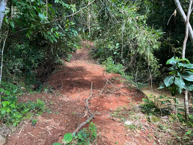 Finca 140 hectáreas en Santa Rita, La Chorrera. - Imagen 5