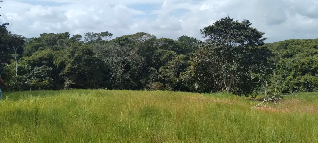 Finca 140 hectáreas en Santa Rita, La Chorrera. - Imagen 2