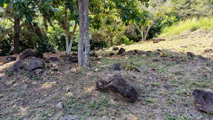 Chame, Altos del María - Imagen 4