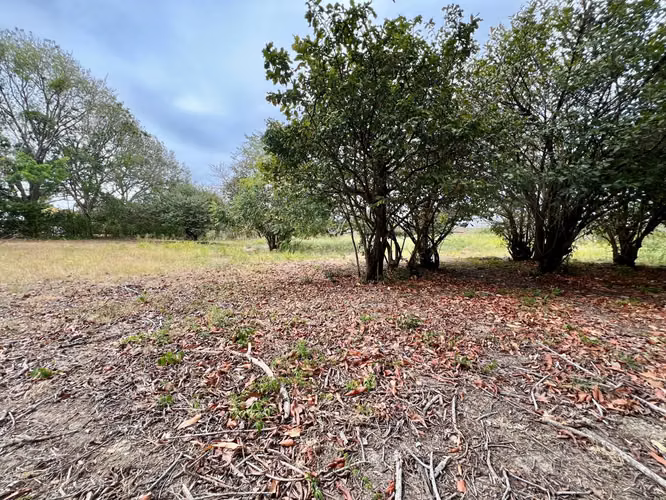 HACIENDA LAS LAGARTIJAS TERRENO - Imagen 4