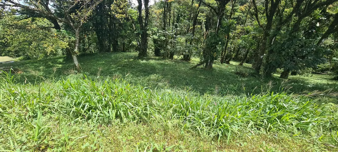 VENDO TERRENO. ALTOS DEL MARÍA. SORÁ. MONTAÑA. OJO DE AGUA.