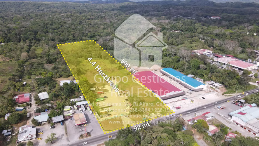 LAND FOR SALE IN COLÓN