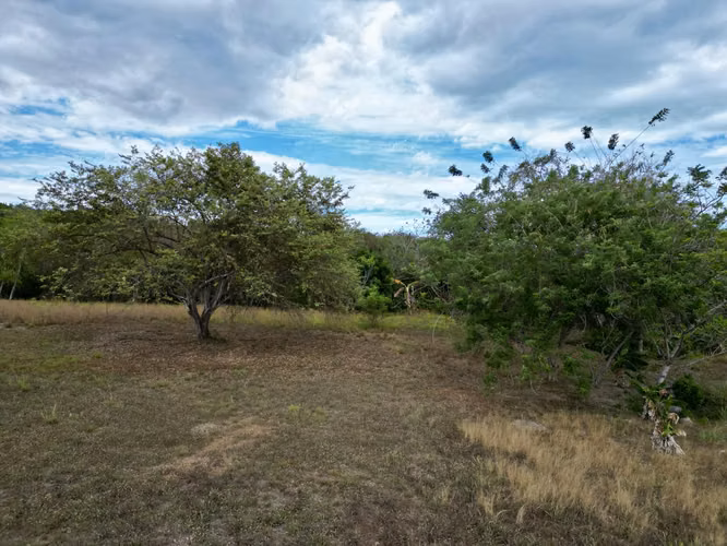 EL HIGO SAN CARLOS TERRENO